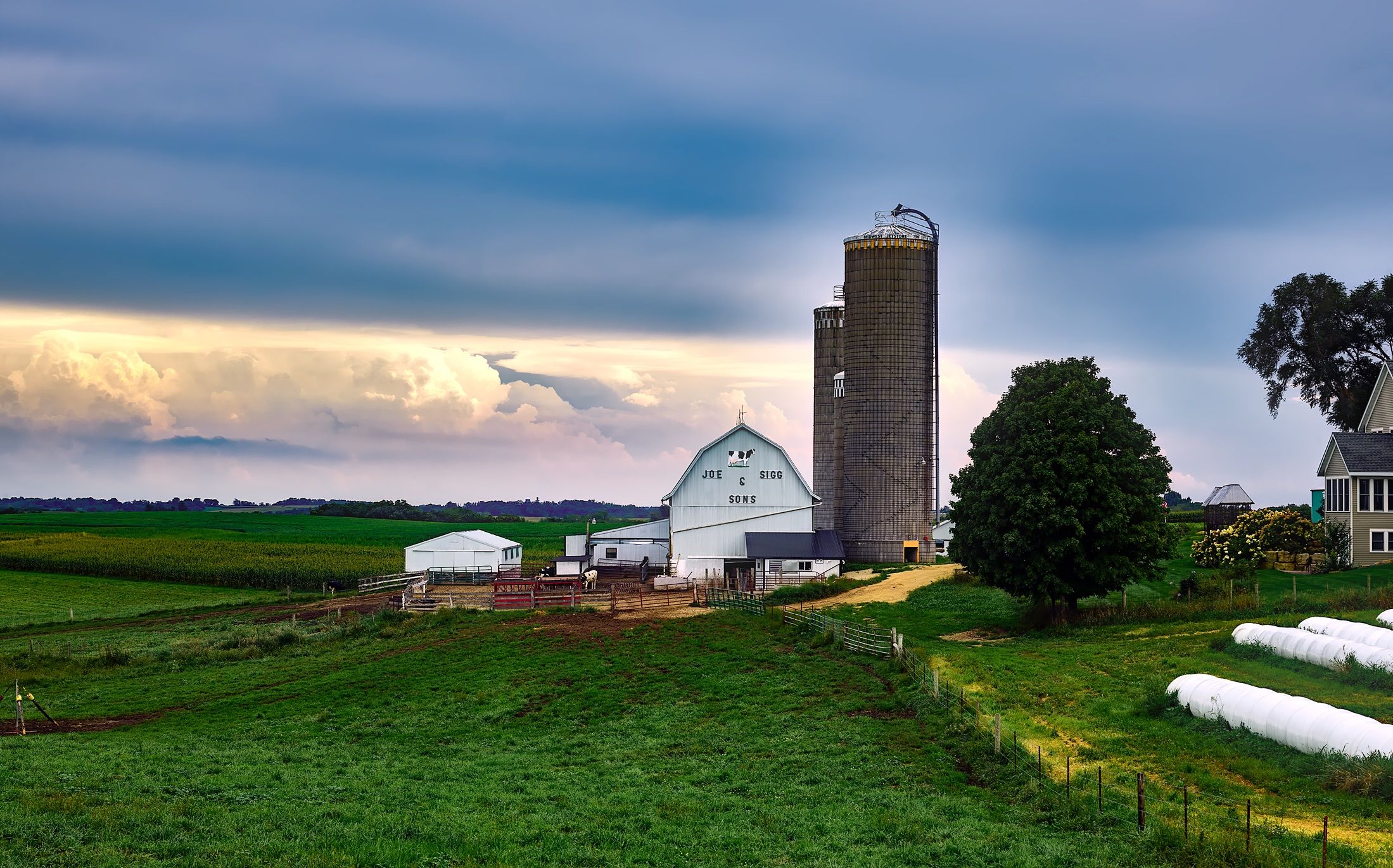 Wisconsin dairy farm at dusk